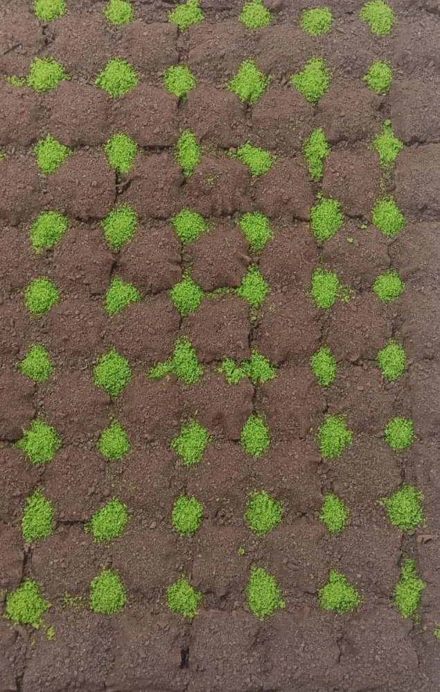 Şehitkamil Soğuk Baklava Siparişi